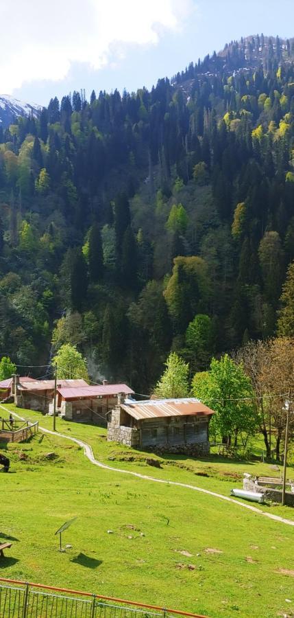 Ayder Vesile Otel Exterior foto